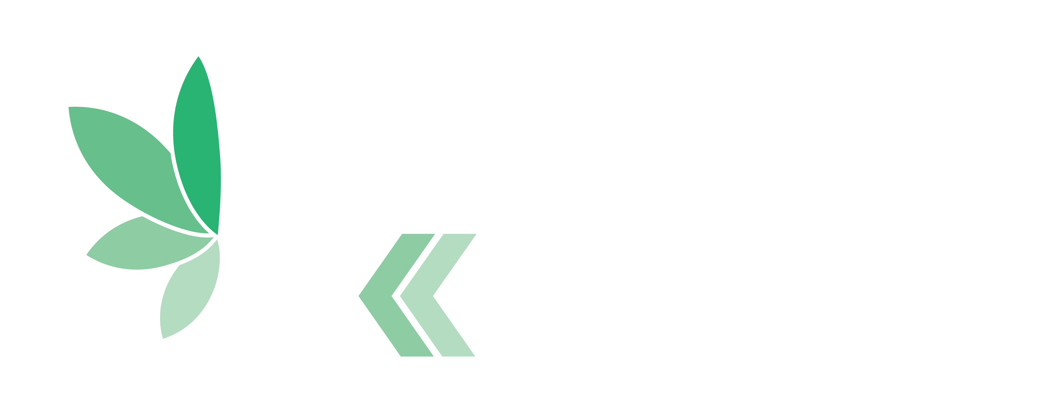 Rx Sports